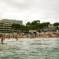 фото из отзыва ID 1264654