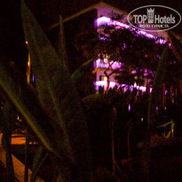 фото из отзыва ID 1264654