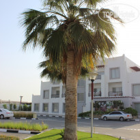 фото из отзыва ID 1264802