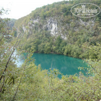 фото из отзыва ID 1264837