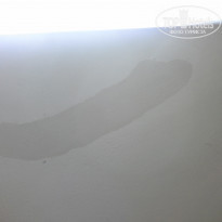 фото из отзыва ID 1264863