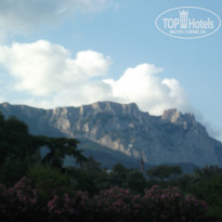 фото из отзыва ID 1264980