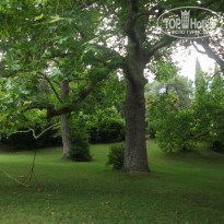 фото из отзыва ID 1264980