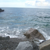 фото из отзыва ID 1264980