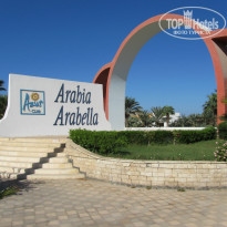 фото из отзыва ID 1264652