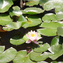 фото из отзыва ID 1265281