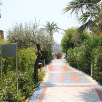 фото из отзыва ID 1265281