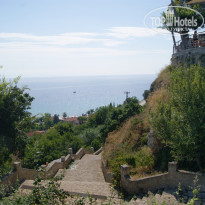 фото из отзыва ID 1265495