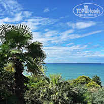 фото из отзыва ID 1265543