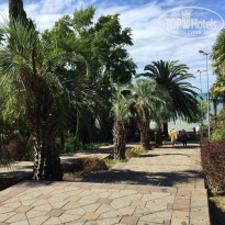 фото из отзыва ID 1265543