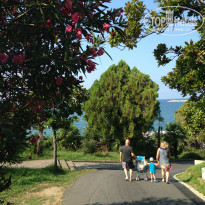 фото из отзыва ID 1265543