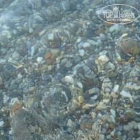 фото из отзыва ID 1265611