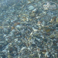 фото из отзыва ID 1265611