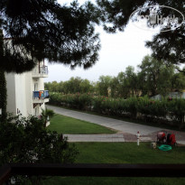 фото из отзыва ID 1265651