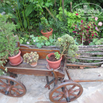 фото из отзыва ID 1265759