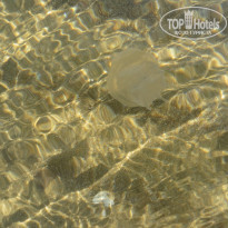 фото из отзыва ID 1265759