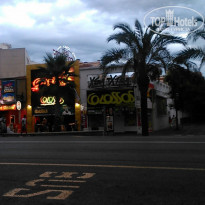 фото из отзыва ID 1265779