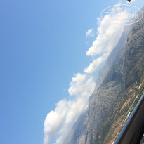 фото из отзыва ID 1265898