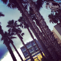 фото из отзыва ID 1265898