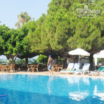 фото из отзыва ID 1266012