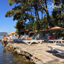 фото из отзыва ID 1266015