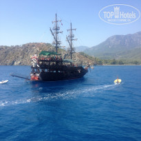 фото из отзыва ID 1266105