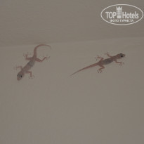 фото из отзыва ID 1266106