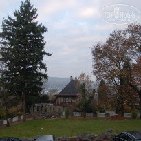 фото из отзыва ID 1266121