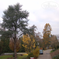 фото из отзыва ID 1266121