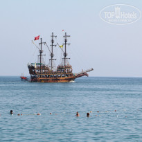 фото из отзыва ID 1265518