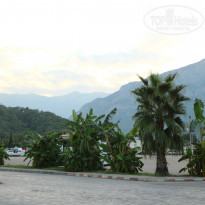 фото из отзыва ID 1265518