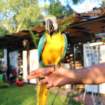 фото из отзыва ID 1265518