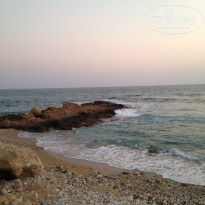 фото из отзыва ID 1266280