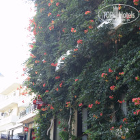 фото из отзыва ID 1266536