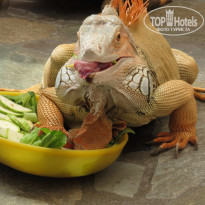 фото из отзыва ID 1266536