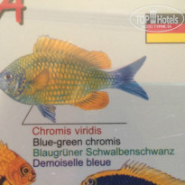 фото из отзыва ID 1266534