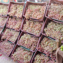 фото из отзыва ID 1266565