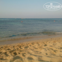 фото из отзыва ID 1266694