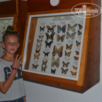 фото из отзыва ID 1266894