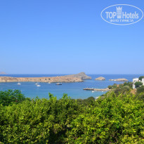 фото из отзыва ID 1266894