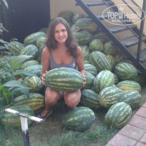 фото из отзыва ID 1266976