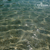 фото из отзыва ID 1267076