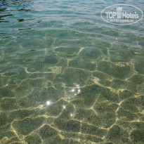 фото из отзыва ID 1267076