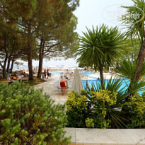 фото из отзыва ID 1267076