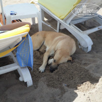 фото из отзыва ID 1267138