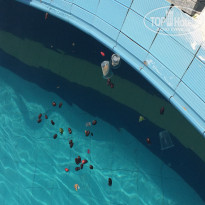 фото из отзыва ID 1267258