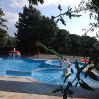 фото из отзыва ID 1267446