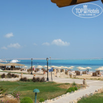 фото из отзыва ID 1267831