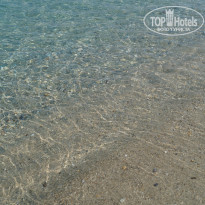 фото из отзыва ID 1267870