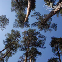 фото из отзыва ID 1267914